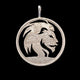 Lion - Coin Pendant