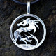 Martial Art Dragon - Coin Pendant